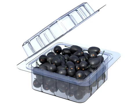 Jambul Fruit Box Plastic Transparent 3D Model