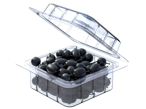 Jambul Fruit Box Plastic Transparent 3D Model