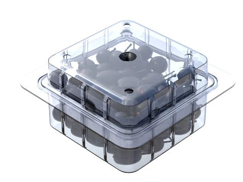 Jambul Fruit Box Plastic Transparent 3D Model
