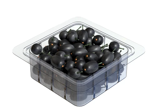 Jambul Fruit Box Plastic Transparent 3D Model