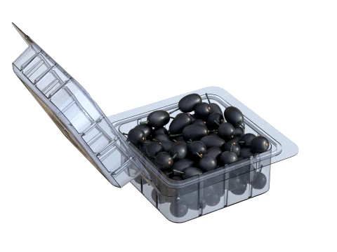 Jambul Fruit Box Plastic Transparent 3D Model