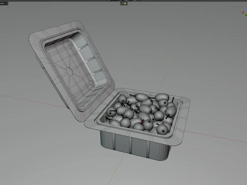 Jambul Fruit Box Plastic Transparent 3D Model