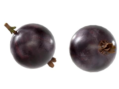 Jostaberry Fruit 3D Model