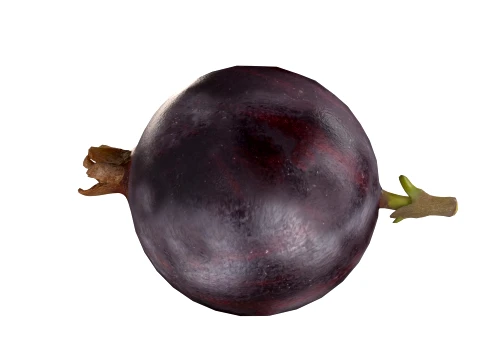Jostaberry Fruit 3D Model