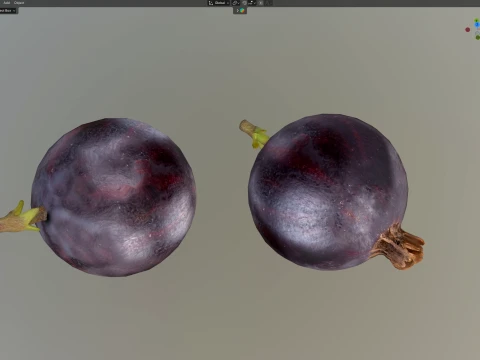 Jostaberry Fruit 3D Model