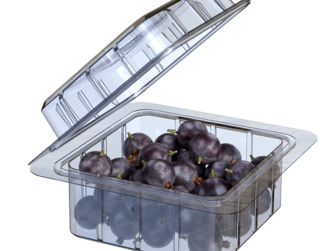 Jostaberry Fruit Box Plastic Transparent 3D Model