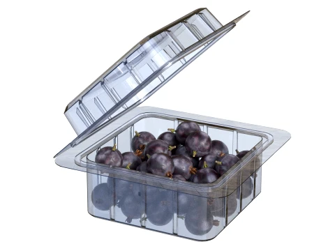 Jostaberry Fruit Box Plastic Transparent 3D Model