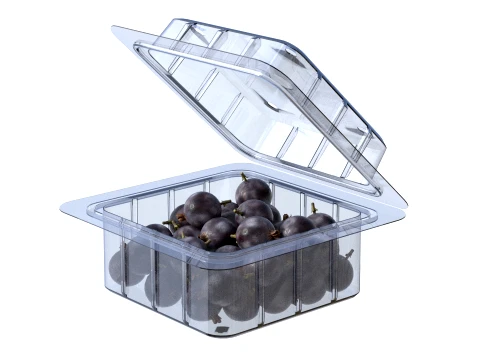 Jostaberry Fruit Box Plastic Transparent 3D Model