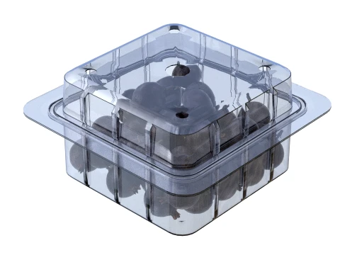 Jostaberry Fruit Box Plastic Transparent 3D Model