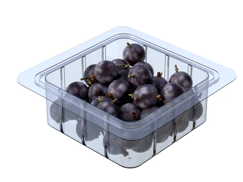 Jostaberry Fruit Box Plastic Transparent 3D Model