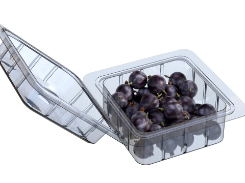 Jostaberry Fruit Box Plastic Transparent 3D Model