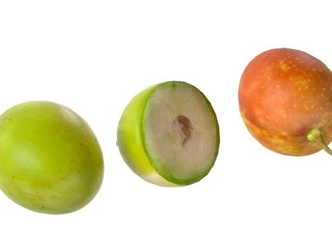 Jujube Fruit 3D Model