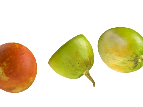 Jujube Fruit 3D Model