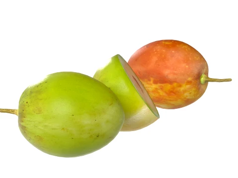 Jujube Fruit 3D Model