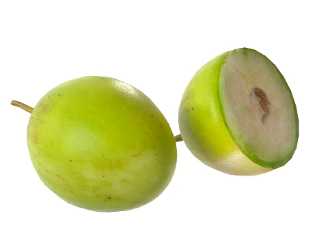 Jujube Fruit 3D Model