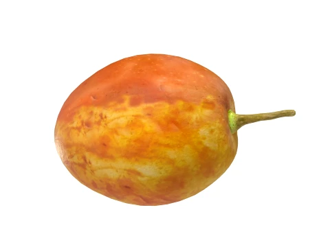 Jujube Fruit 3D Model