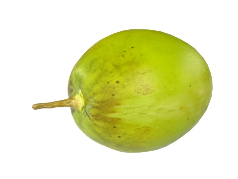 Jujube Fruit 3D Model