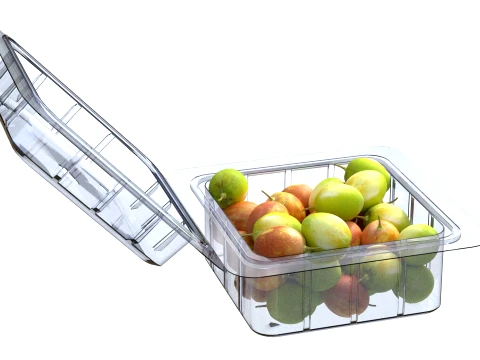Jujube Fruit Box Plastic Transparent 3D Model