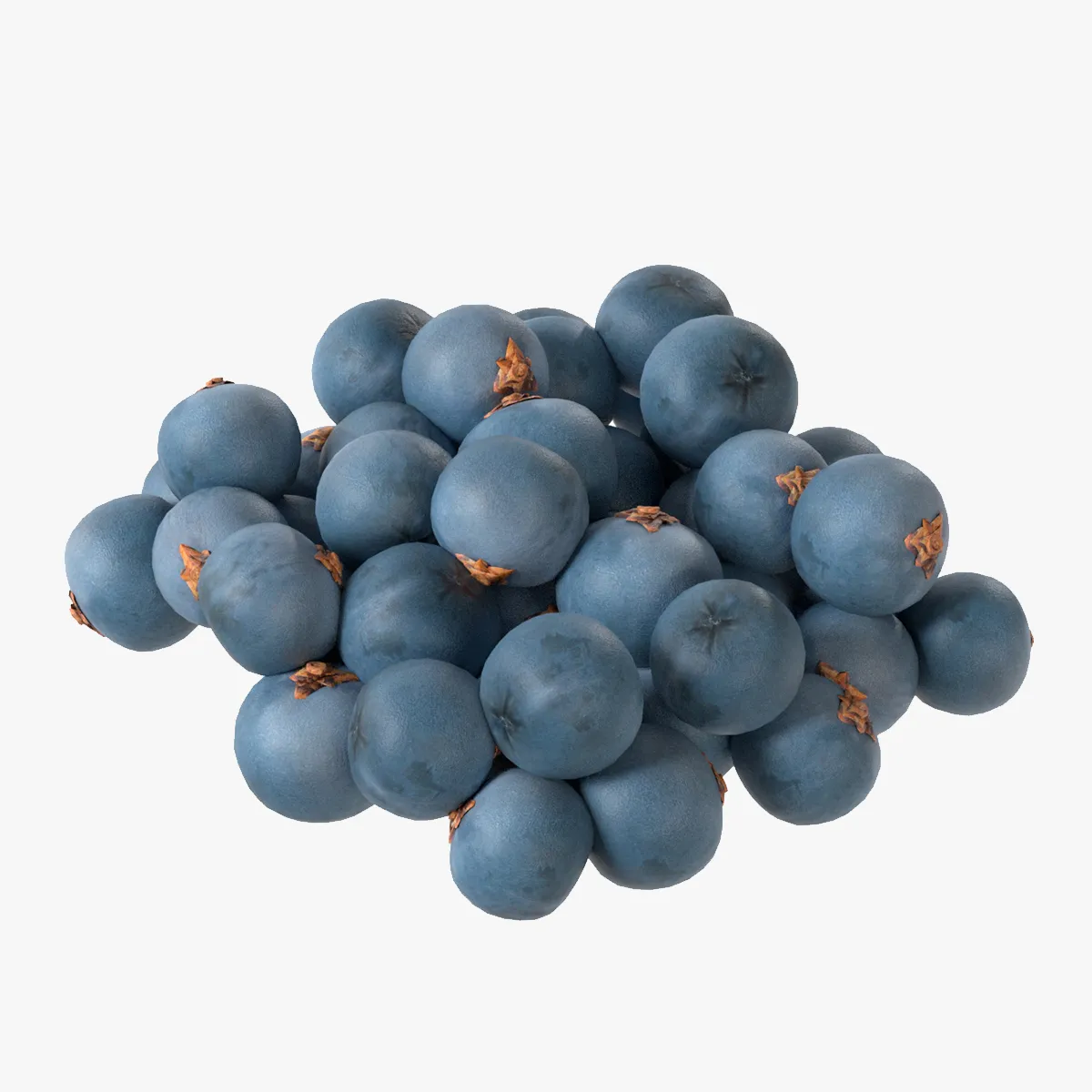 Juniper Berry 3D Model .c4d .max .obj .3ds .fbx .stl .blend 