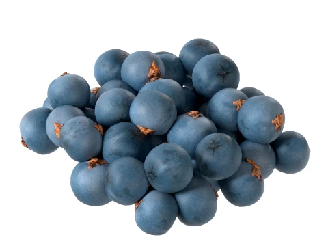 Juniper Berry 3D Model