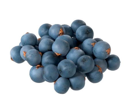 Juniper Berry 3D Model