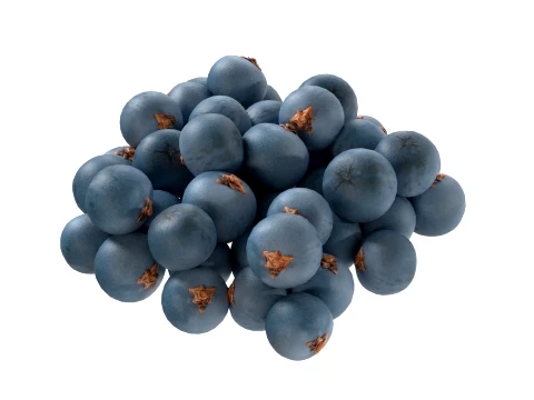Juniper Berry 3D Model