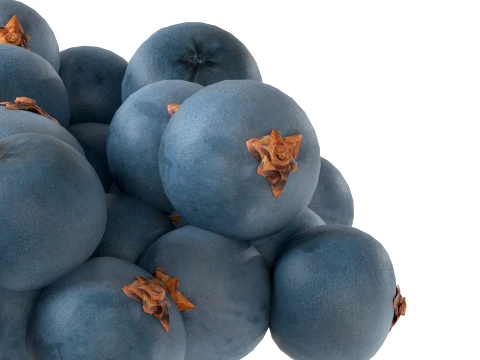 Juniper Berry 3D Model