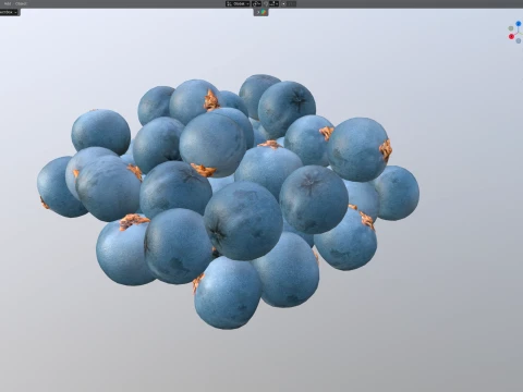 Juniper Berry 3D Model