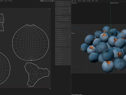 Juniper Berry 3D Model