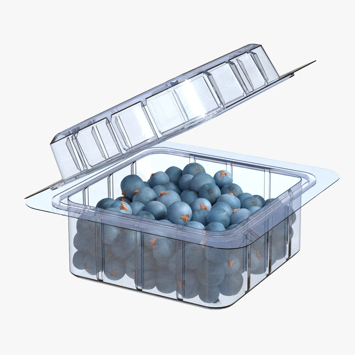 Juniper Berry Box Plastic Transparent 3D Model .c4d .max .obj .3ds .fbx .stl .blend