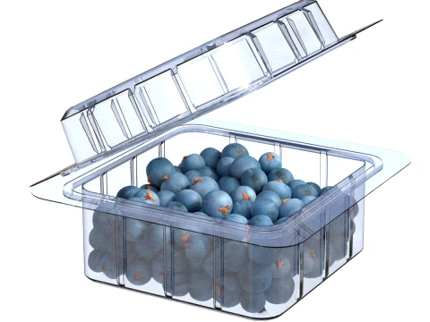 Juniper Berry Box Plastic Transparent 3D Model