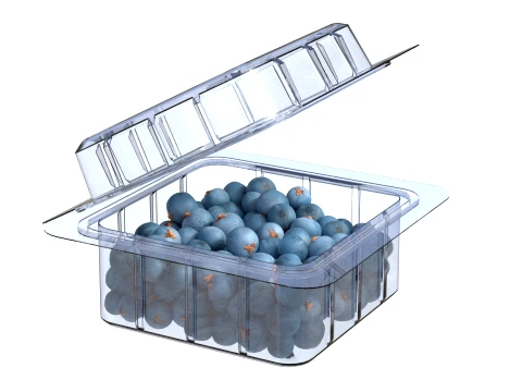 Juniper Berry Box Plastic Transparent 3D Model