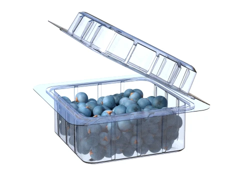 Juniper Berry Box Plastic Transparent 3D Model