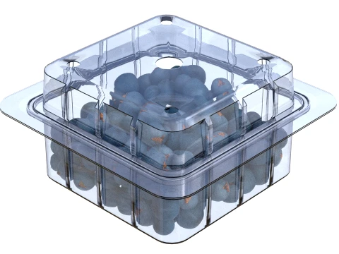 Juniper Berry Box Plastic Transparent 3D Model
