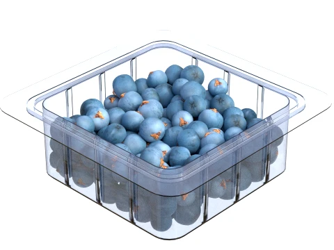 Juniper Berry Box Plastic Transparent 3D Model