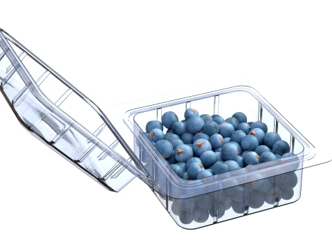 Juniper Berry Box Plastic Transparent 3D Model