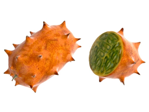 Kiwano Fruit 3D Model