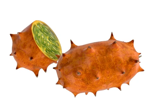 Kiwano Fruit 3D Model