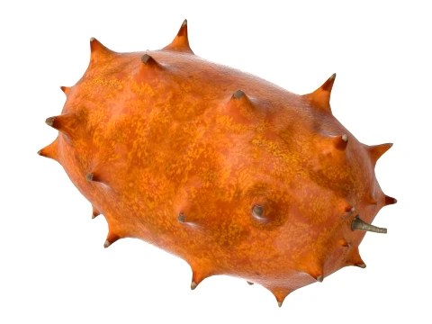 Kiwano Fruit 3D Model