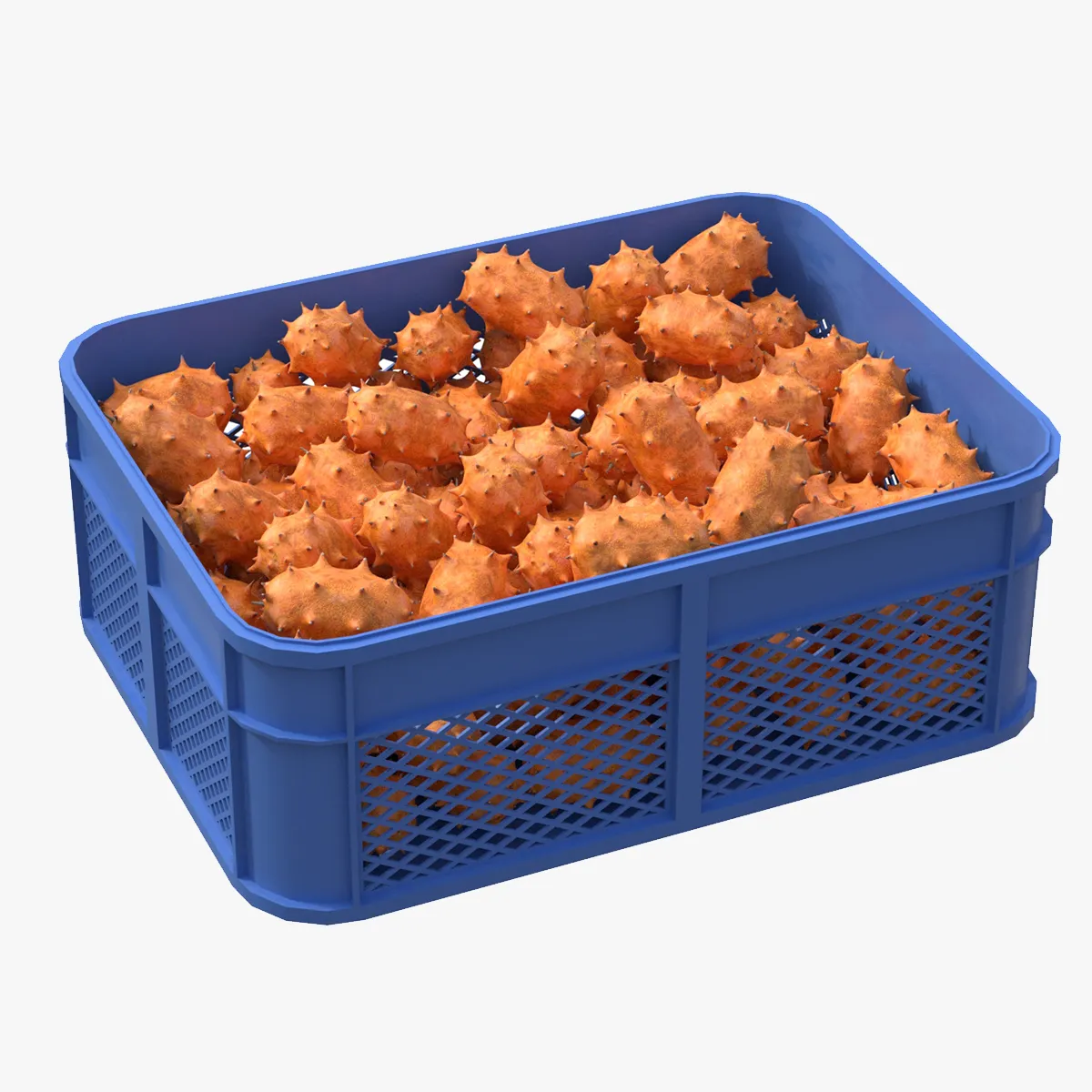 Kiwano Fruit Plastic Crate 3D Model .c4d .max .obj .3ds .fbx .stl .blend 