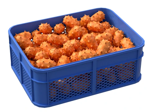 Kiwano Fruit Plastic Crate 3D Model