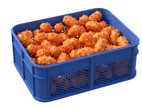 Kiwano Fruit Plastic Crate 3D Model