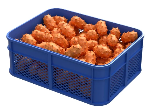 Kiwano Fruit Plastic Crate 3D Model