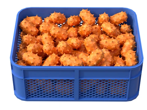 Kiwano Fruit Plastic Crate 3D Model
