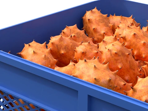 Kiwano Fruit Plastic Crate 3D Model
