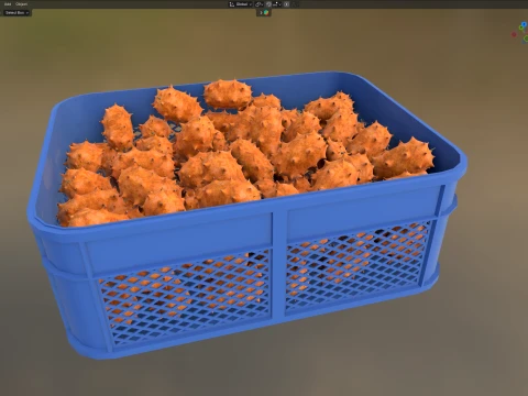 Kiwano Fruit Plastic Crate 3D Model