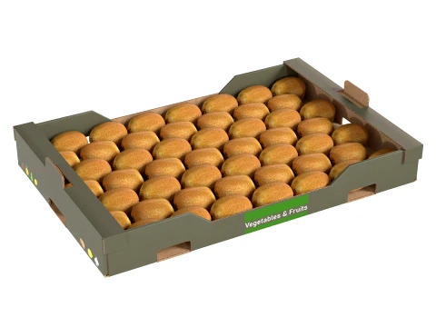 Kiwi Cardboard Fruit Box 3D Model