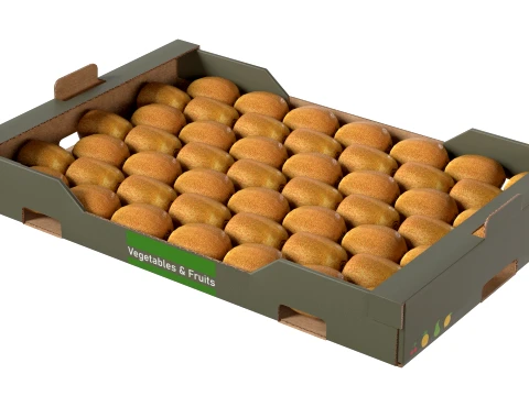 Kiwi Cardboard Fruit Box 3D Model