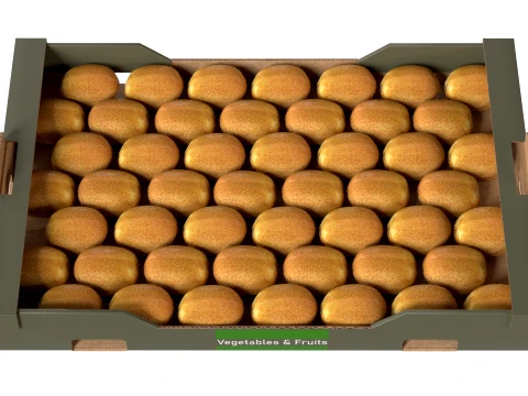 Kiwi Cardboard Fruit Box 3D Model