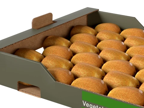 Kiwi Cardboard Fruit Box 3D Model